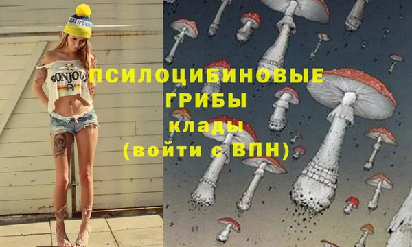 СК Нефтегорск