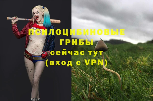 трава Балахна