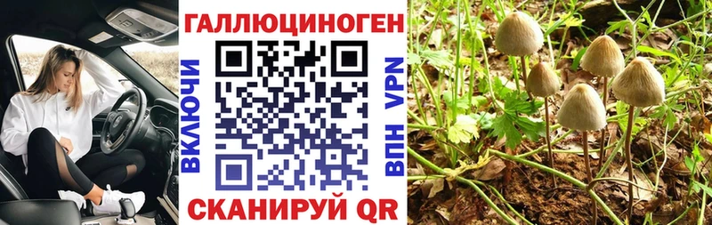 Галлюциногенные грибы ЛСД  Зима 