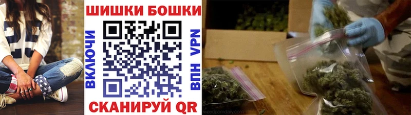 Каннабис планчик  Зима 